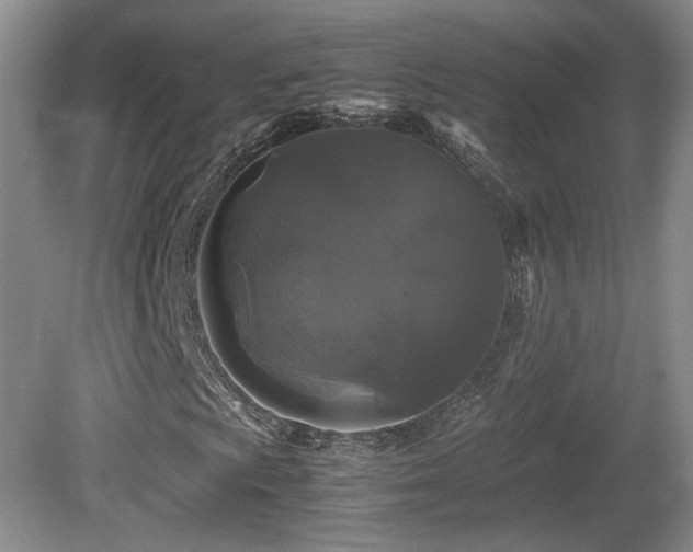 X0000081611009200701151359