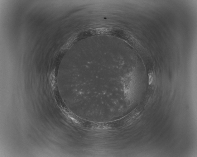 X0000081611011200701151359