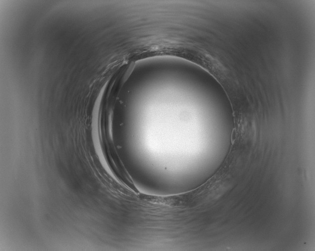 X0000081611012200701151359