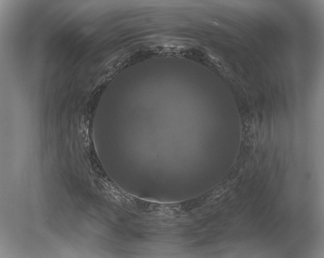 X0000081611013200701151359