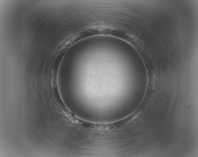 X0000081611014200701151359