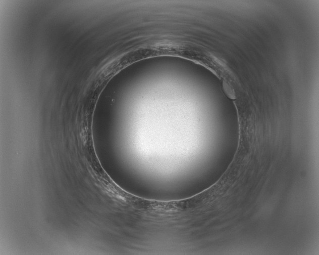 X0000081611015200701151359