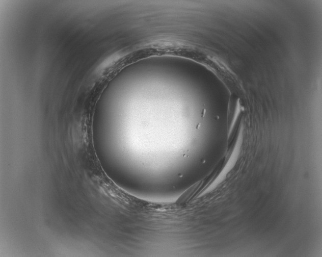 X0000081611016200701151359