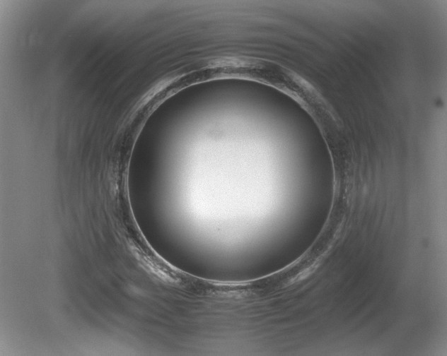 X0000081611017200701151359