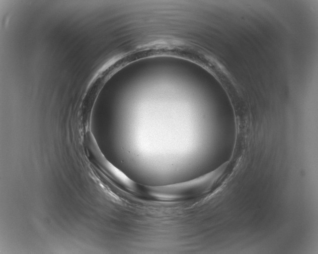 X0000081611018200701151359