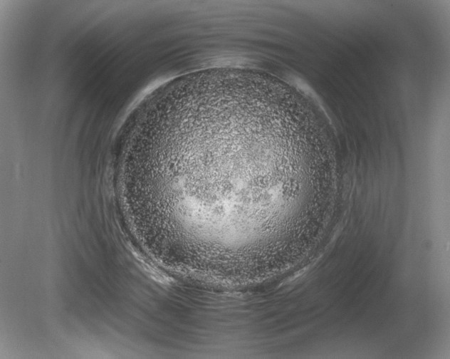 X0000081611019200701151400