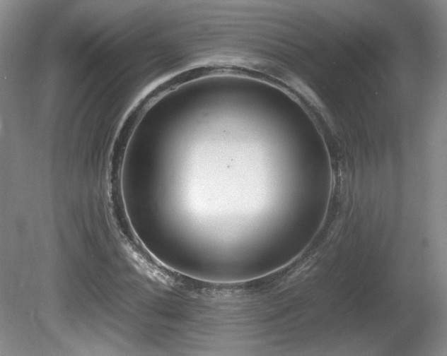 X0000081611020200701151400