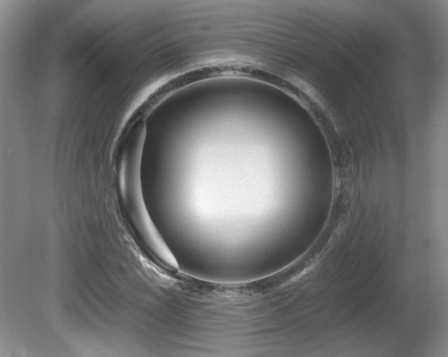 X0000081611022200701151400