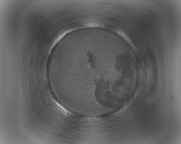 X0000081611023200701151400