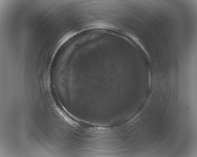 X0000081611024200701151400