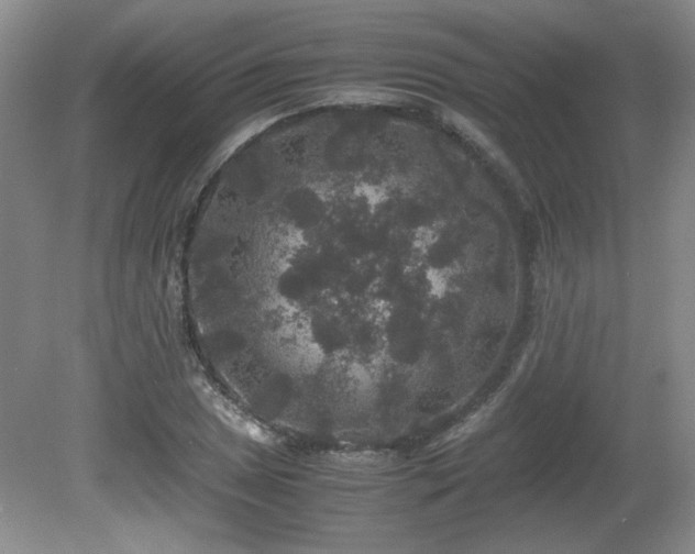 X0000081611025200701151400