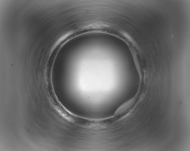 X0000081611026200701151400