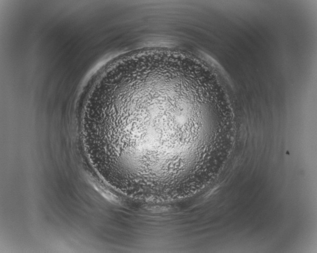 X0000081611027200701151400