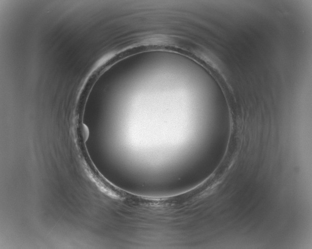 X0000081611029200701151400