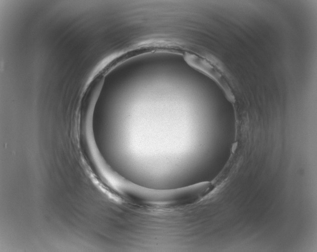 X0000081611030200701151400