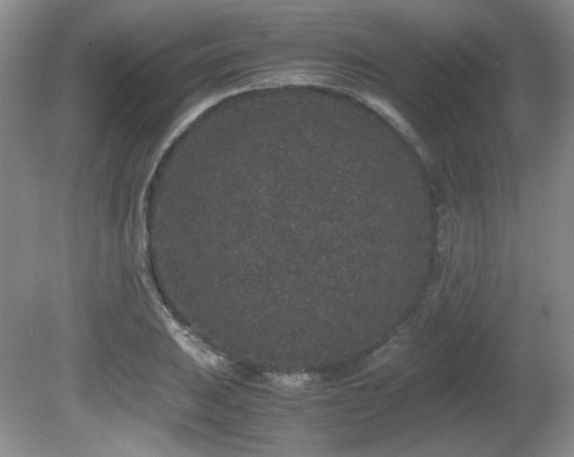 X0000081611031200701151400