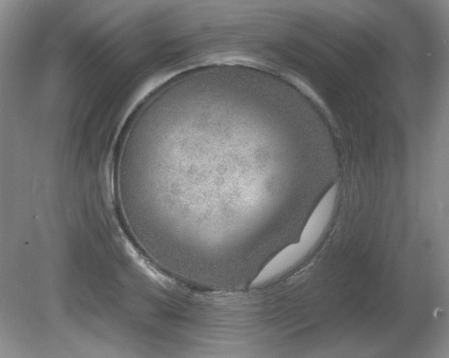 X0000081611032200701151400