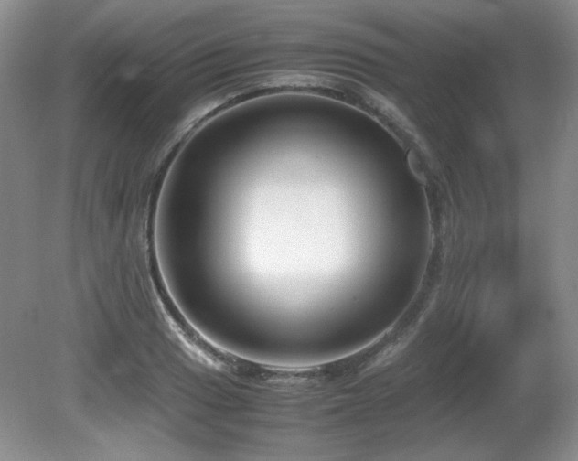 X0000081611033200701151400