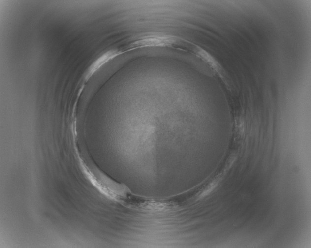 X0000081611034200701151400