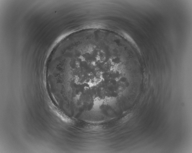 X0000081611035200701151400