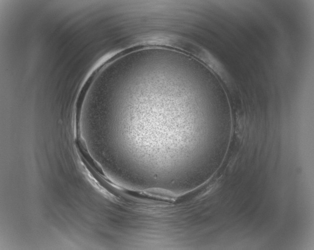 X0000081611036200701151400