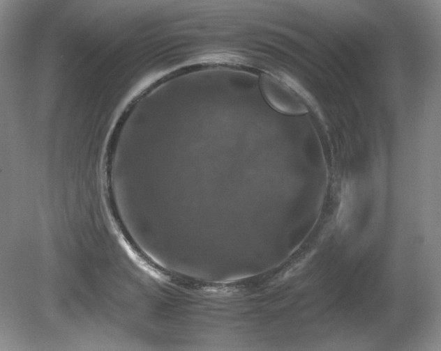 X0000081611037200701151400