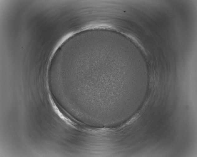 X0000081611038200701151400