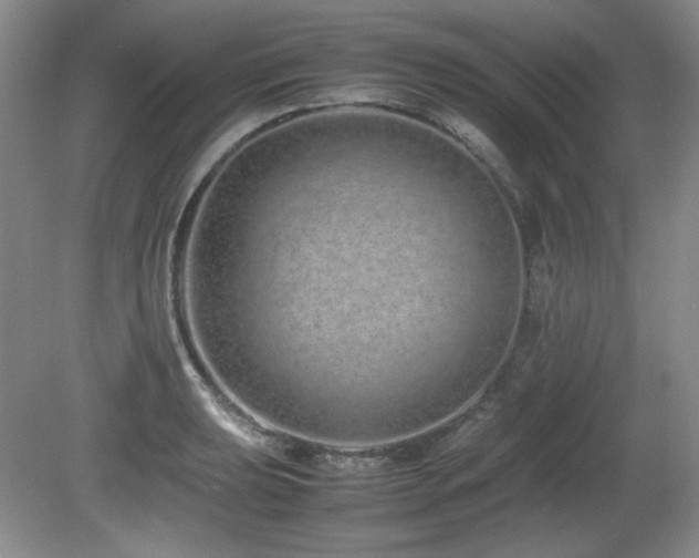 X0000081611039200701151400