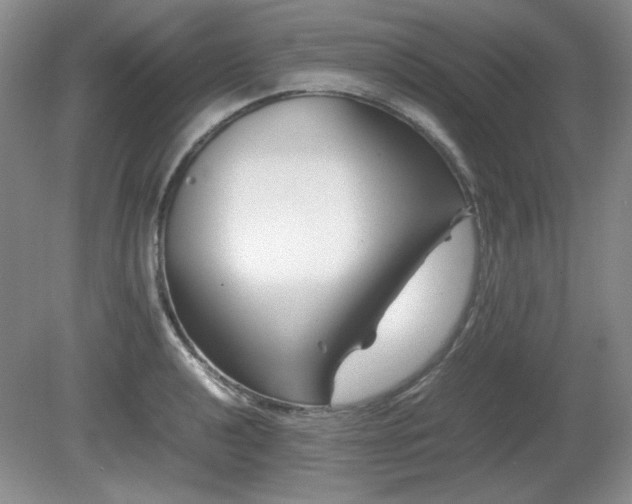 X0000081611040200701151400