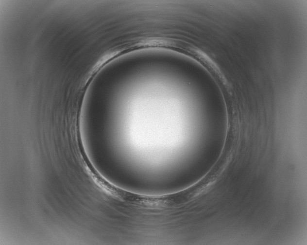 X0000081611041200701151400