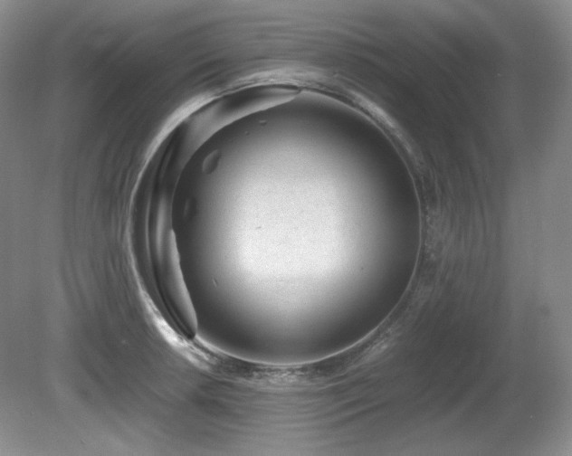 X0000081611042200701151400