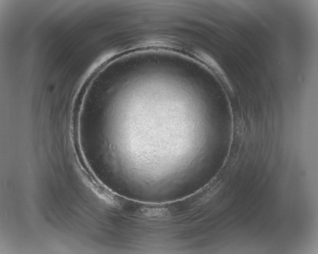 X0000081611043200701151400