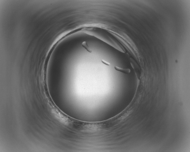 X0000081611044200701151400