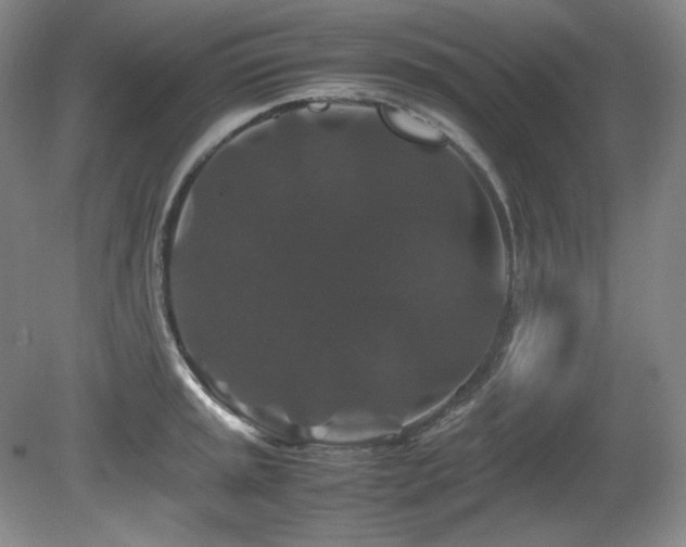 X0000081611045200701151400