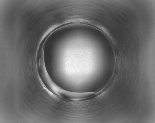 X0000081611046200701151400