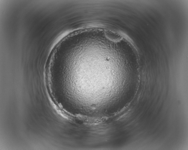 X0000081611047200701151400