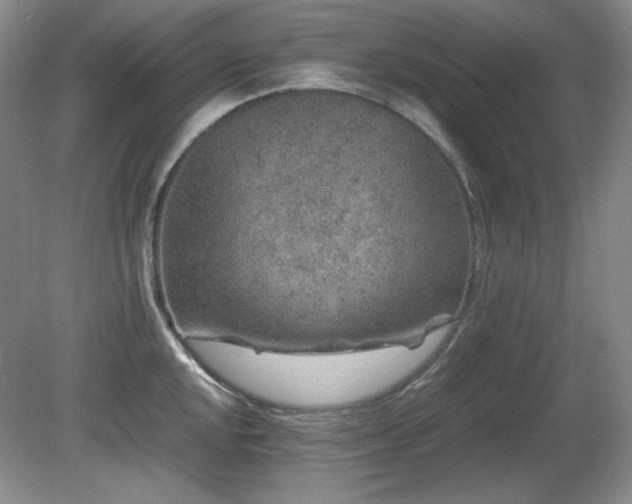 X0000081611048200701151400