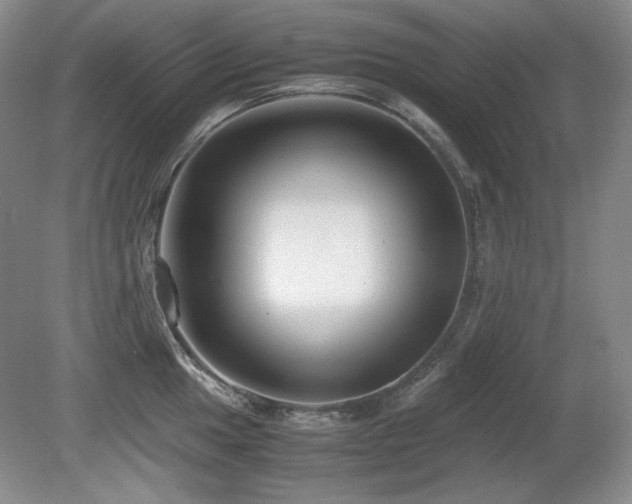 X0000081611049200701151400