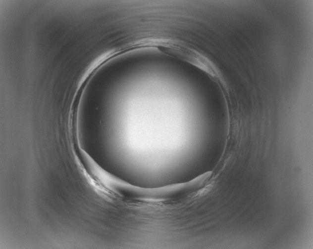 X0000081611050200701151400