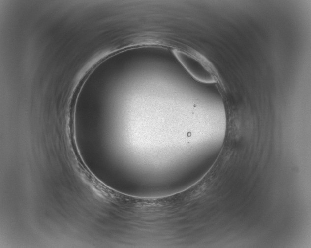 X0000081611051200701151400