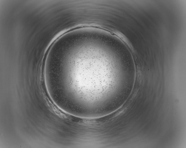 X0000081611052200701151400