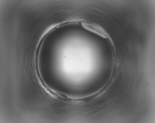 X0000081611053200701151400