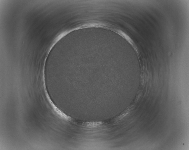 X0000081611055200701151400