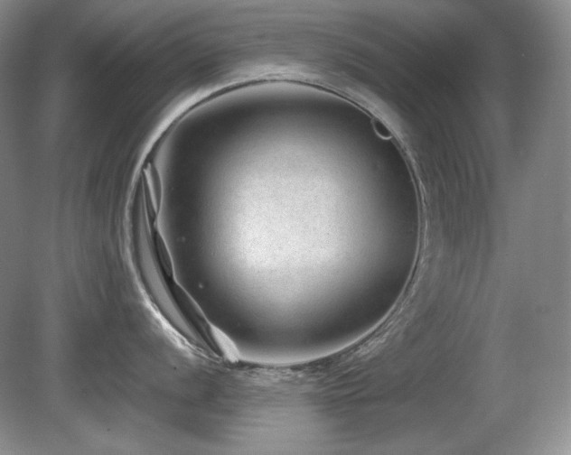 X0000081611056200701151400