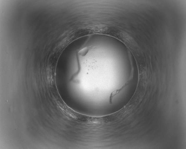 X0000081611058200701151359