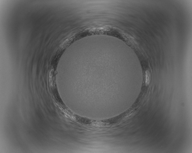 X0000081611059200701151359