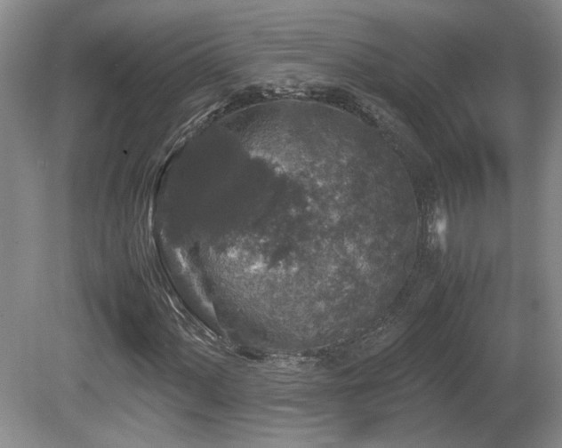 X0000081611060200701151359