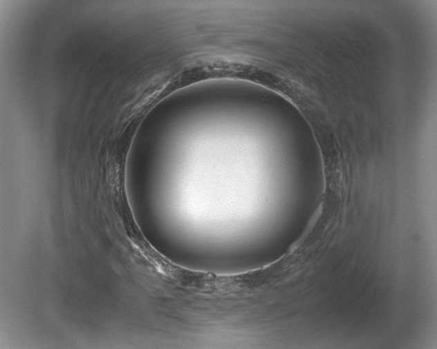 X0000081611061200701151359