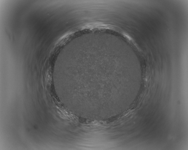 X0000081611063200701151359