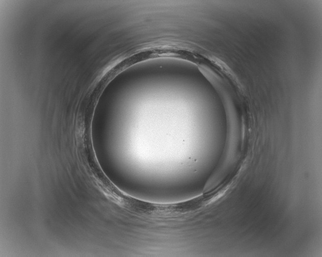 X0000081611065200701151359